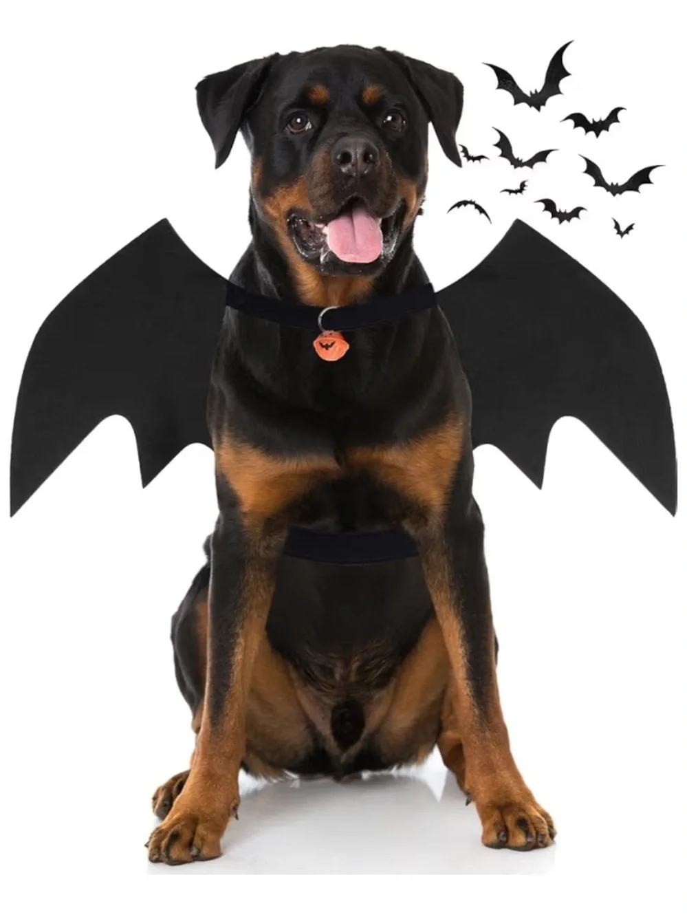 Black Bat Wings Dog Costume - Pet Halloween Costume